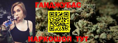 прущие грибы Сланцы