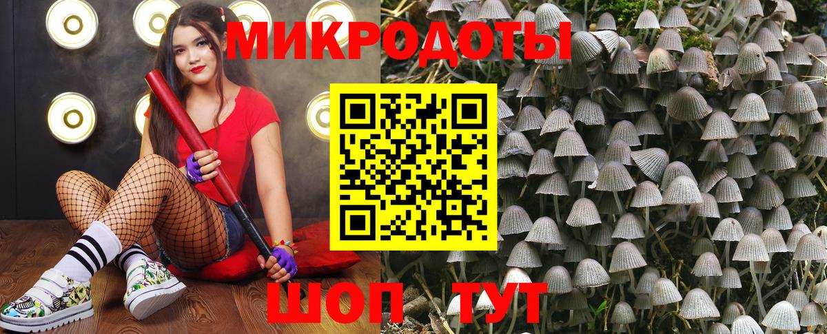 Галлюциногенные грибы Magic Shrooms Новосибирск